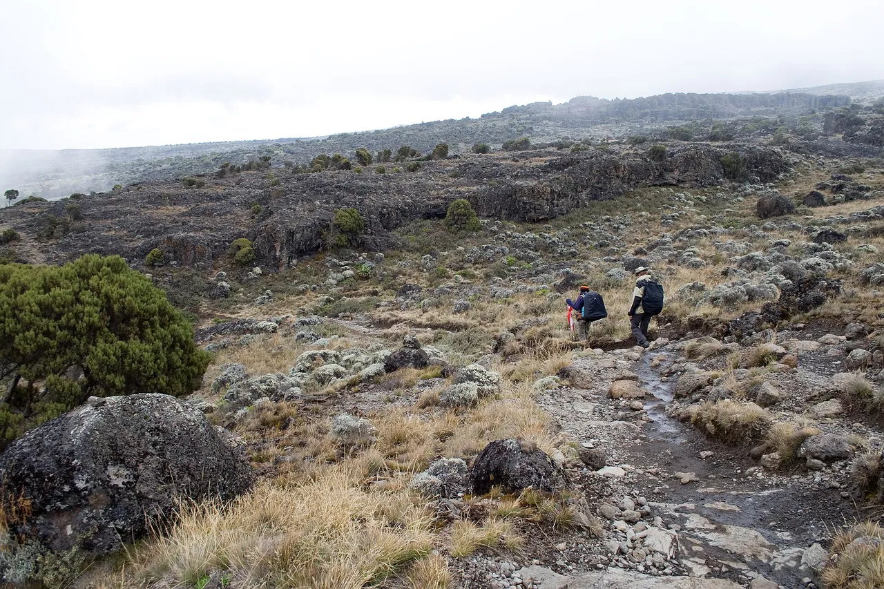 Rocky ground on the Shira Plateau with trekkers in the distance