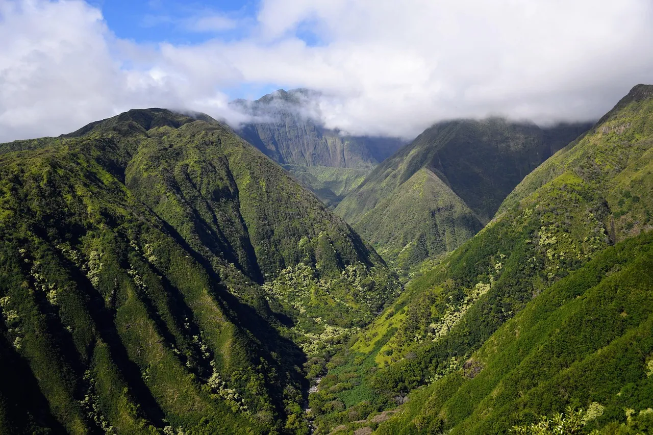Steep green forested ridges under low cloud