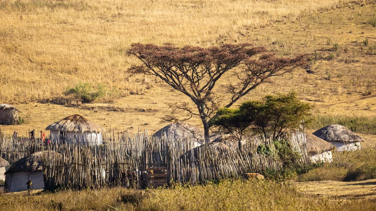 Thatched huts beneath an acacia tree on dry grassland