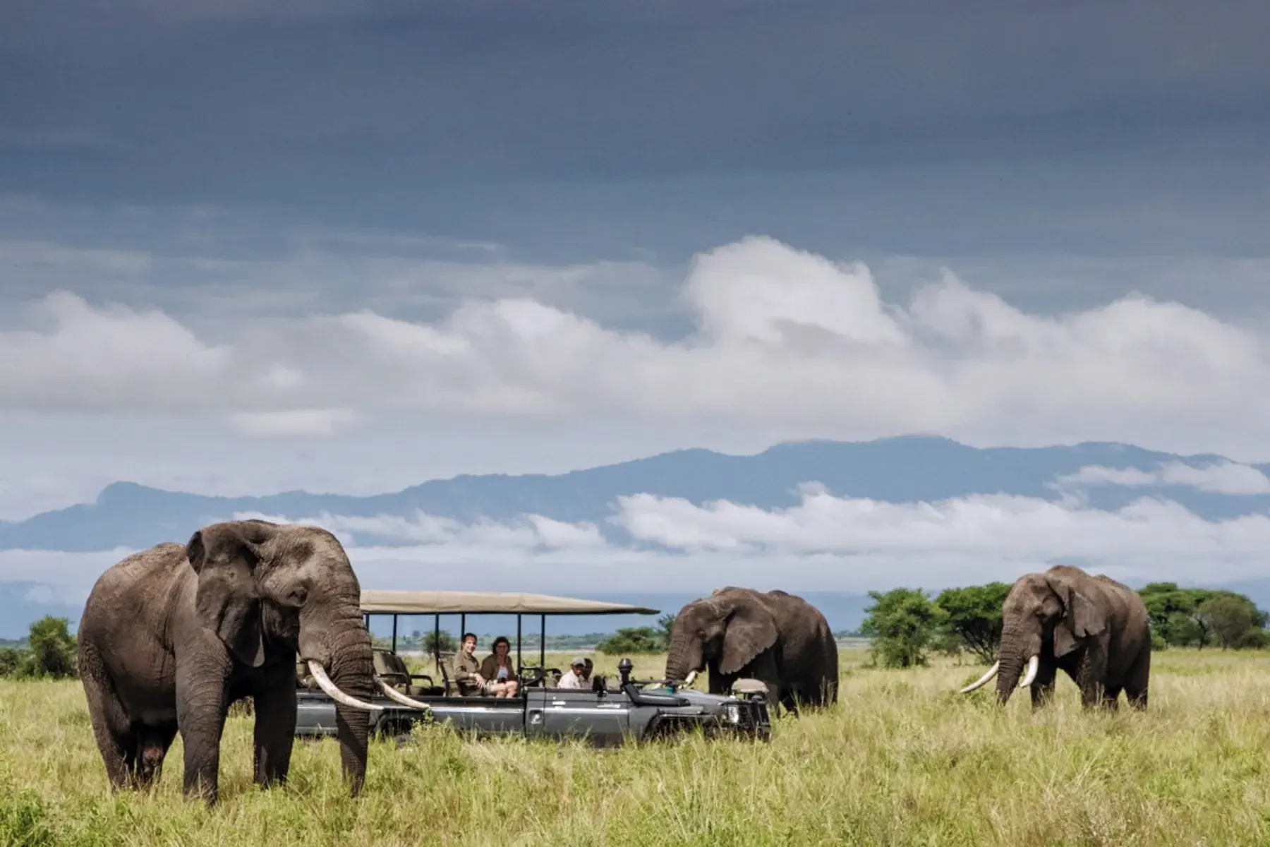 Elephants walking close to an open safari vehicle beneath cloud-topped mountains
