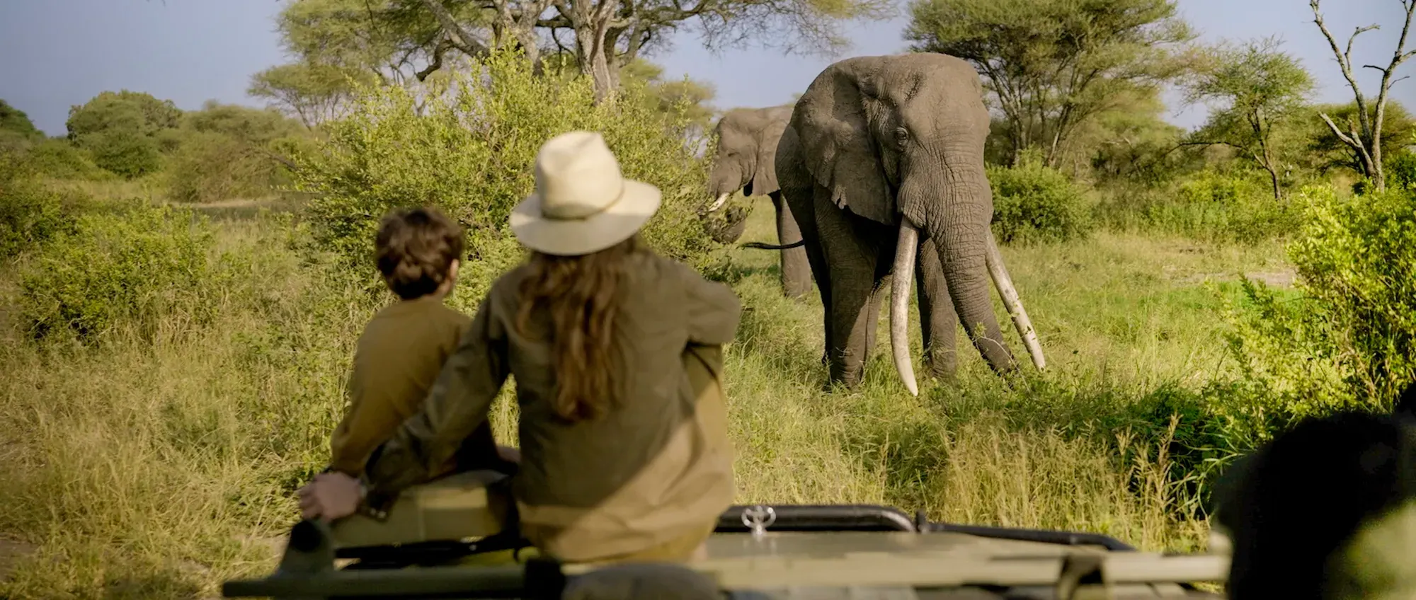 Two guests watching a long-tusked elephant from an open safari vehicle