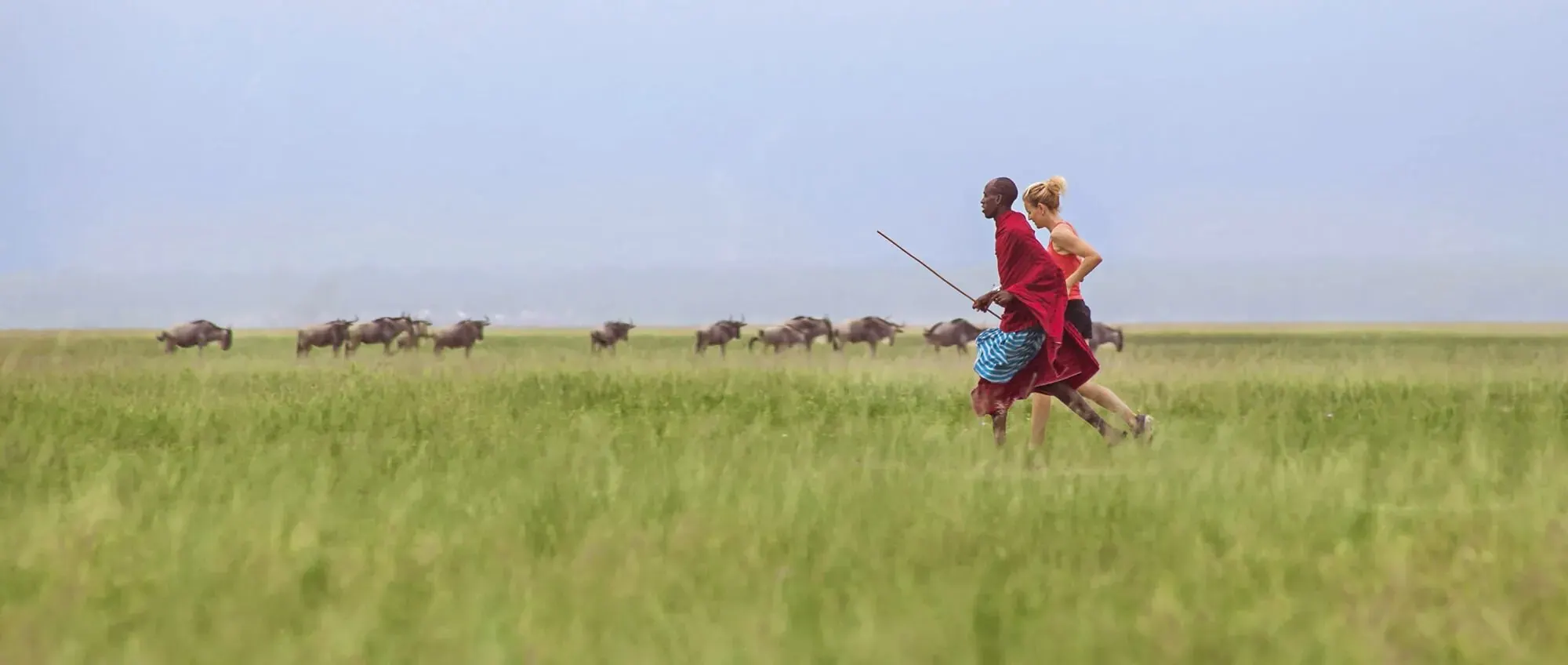 A Maasai warrior in red and a guest running together across green plains with wildebeest in the distance
