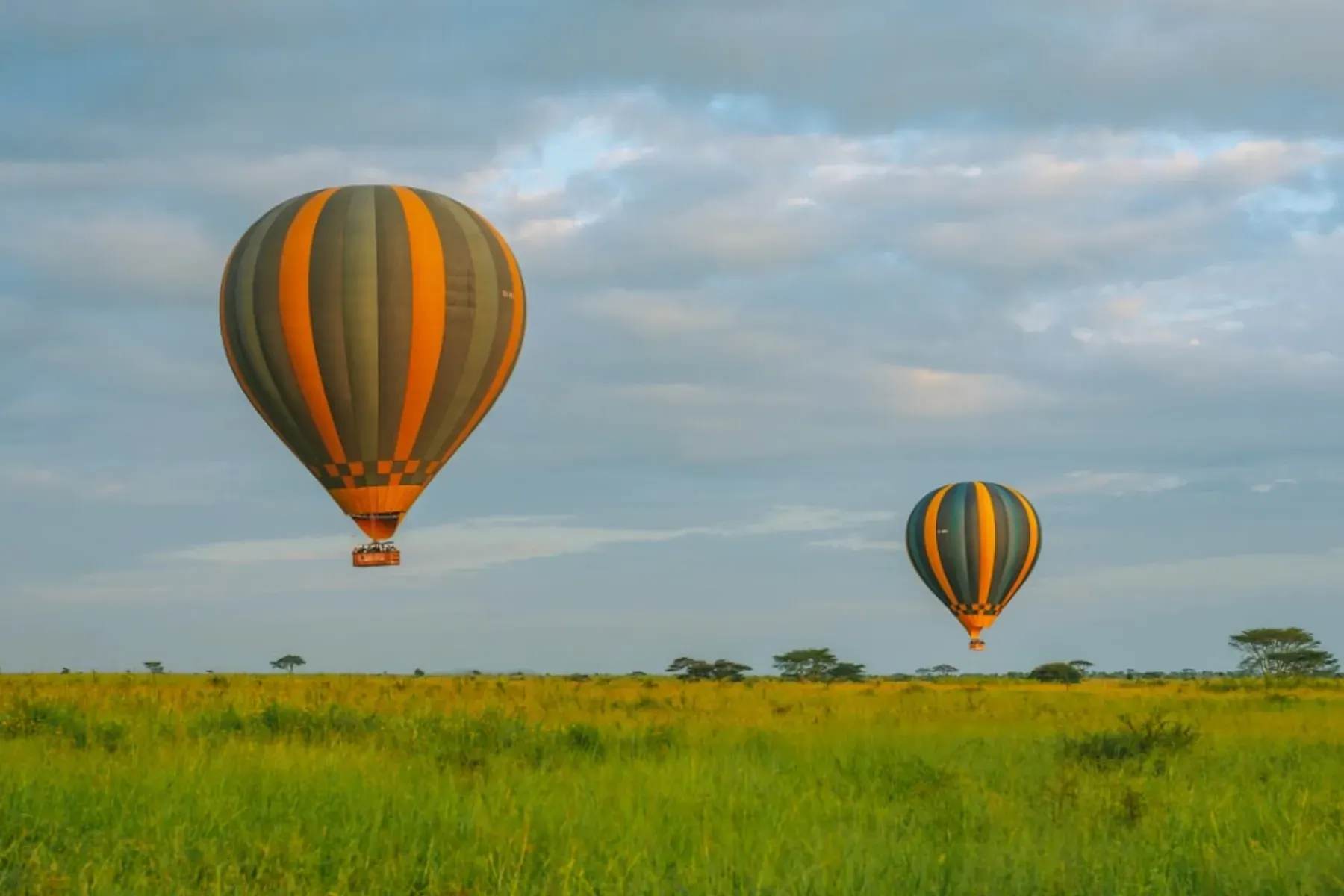 Two hot air balloons drifting over green plains at sunrise